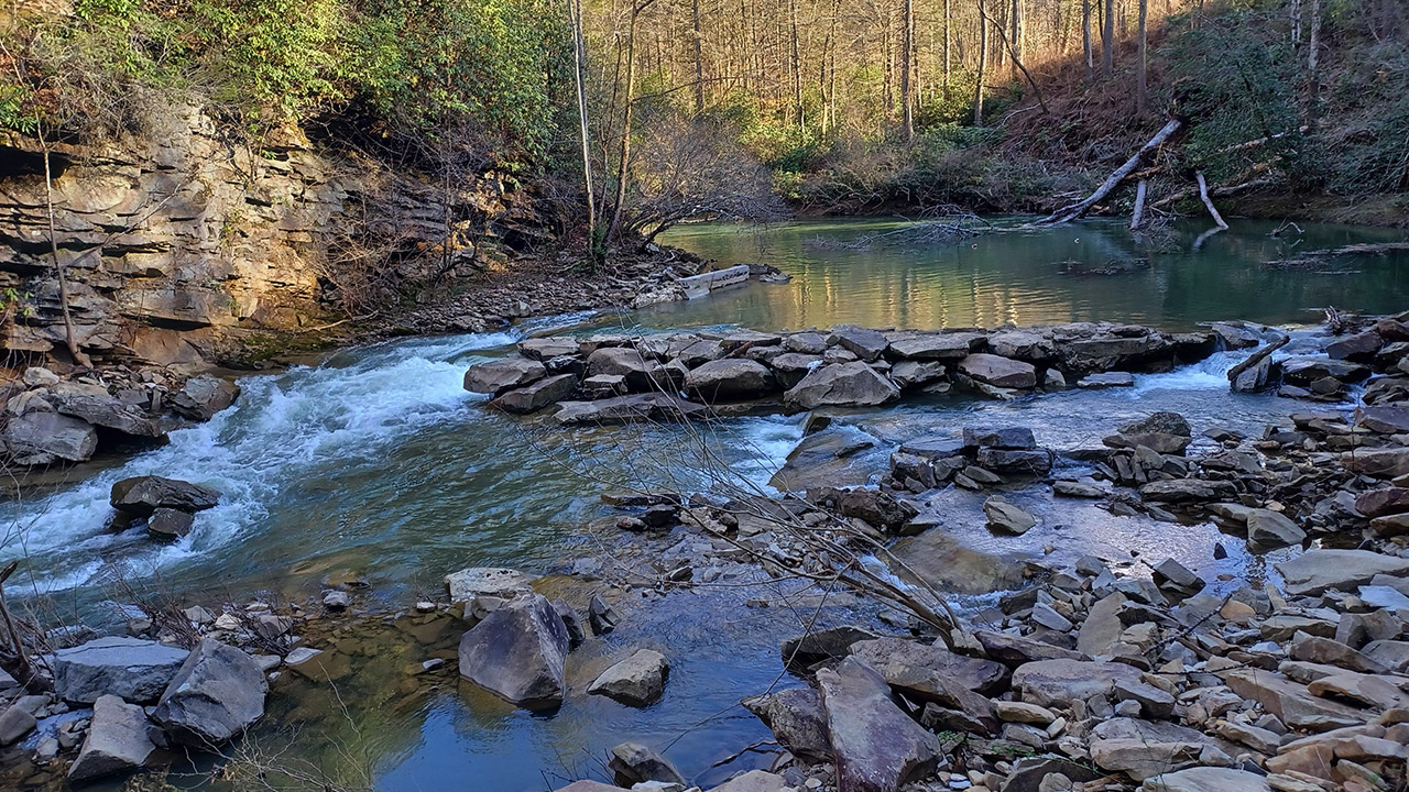 Recreation and wildlife setting on large acreage near Pineville Kentucky